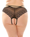 Posey Strappy Lace & Microfiber Crotchless Panty Qn