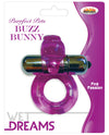 Wet Dreams Purrfect Pet Buzz Bunny