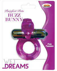 Wet Dreams Purrfect Pet Buzz Bunny