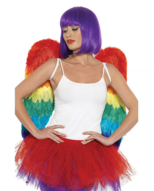 'rainbow Large Feather Wings